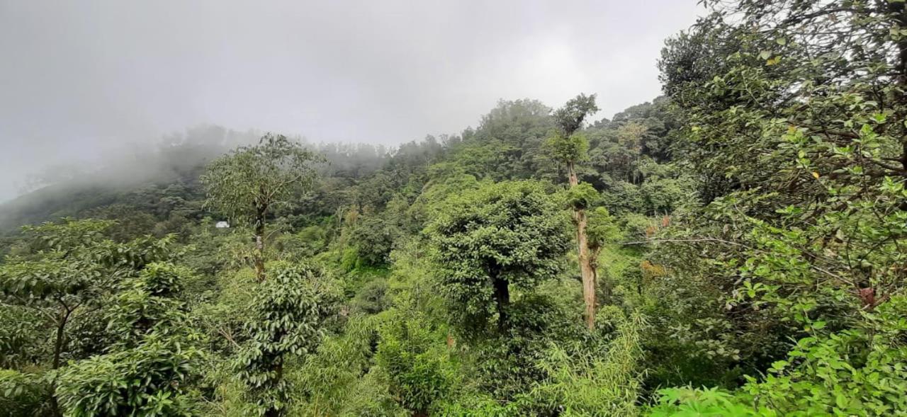 Spinson Home Stay Madikeri Exterior photo